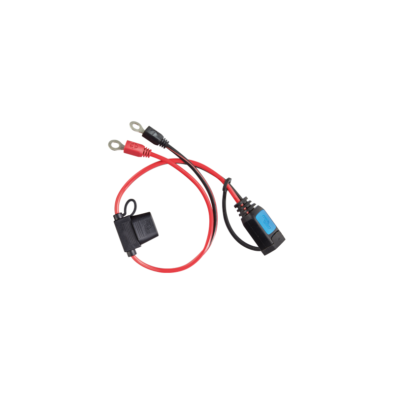 M6 eyelet connector (with 30A ATO fuse)