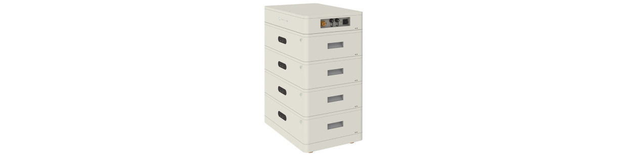 Energy Storage Systems (ESS)