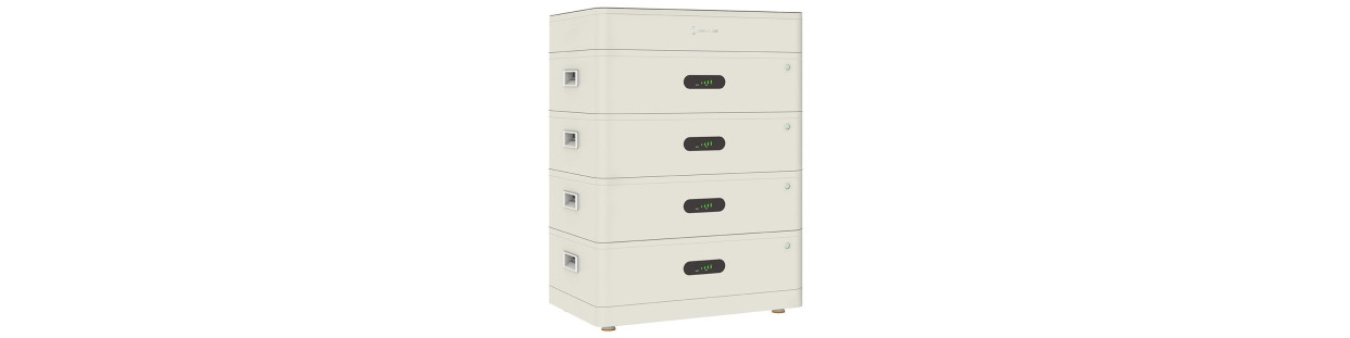 CHISAGE ESS low voltage battery packs with BMS for households